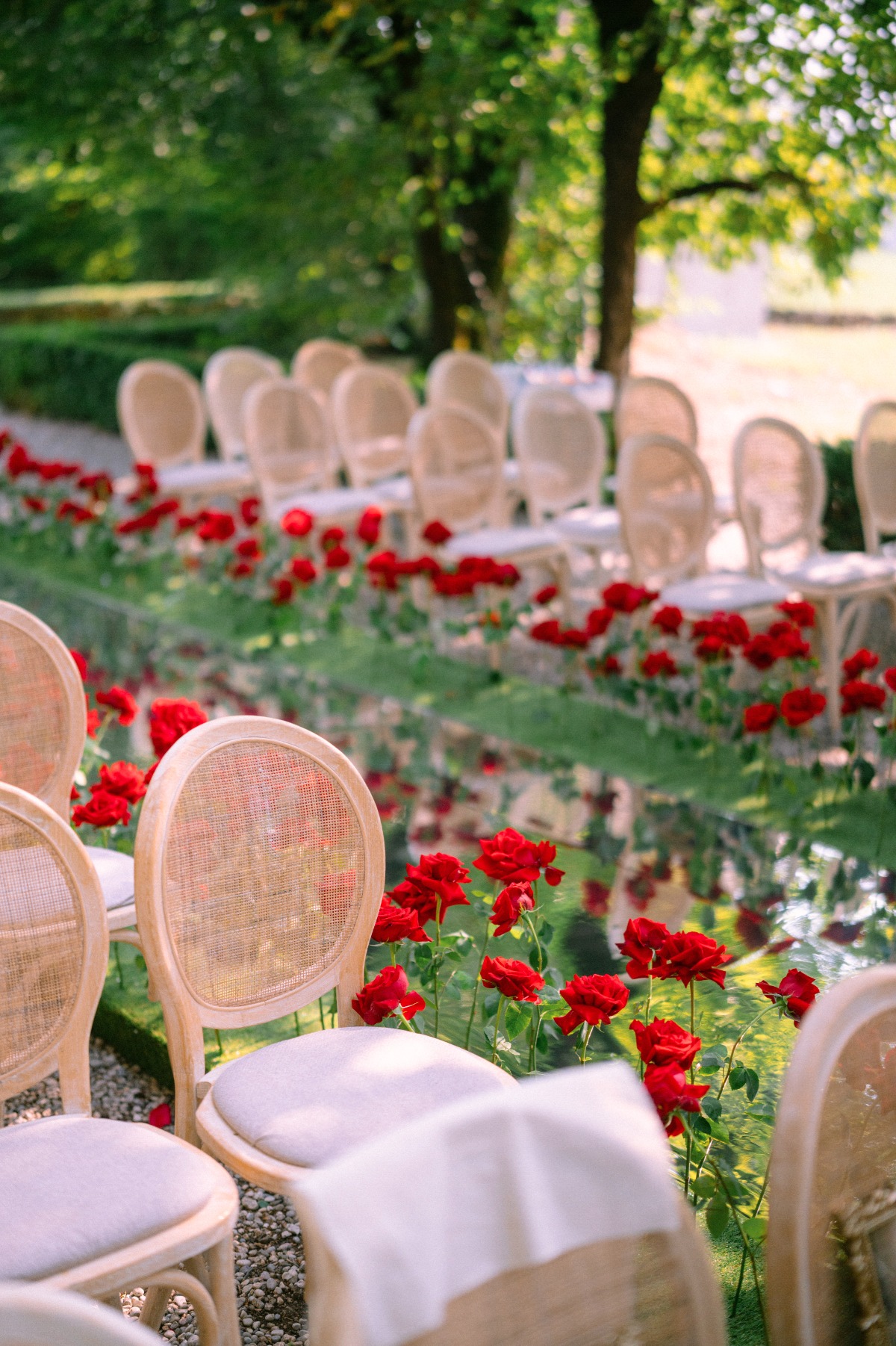 red rose aisle for wedding ceremony