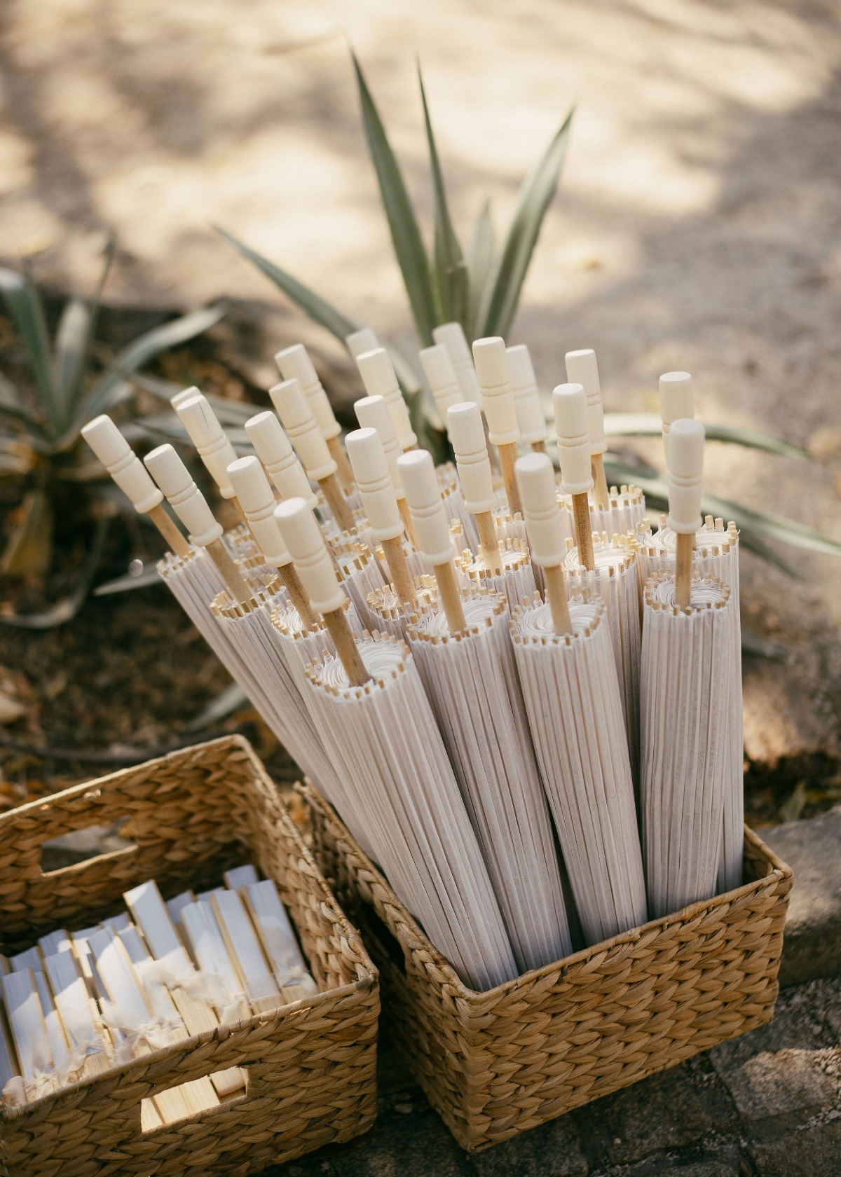 guest favors for tropical wedding