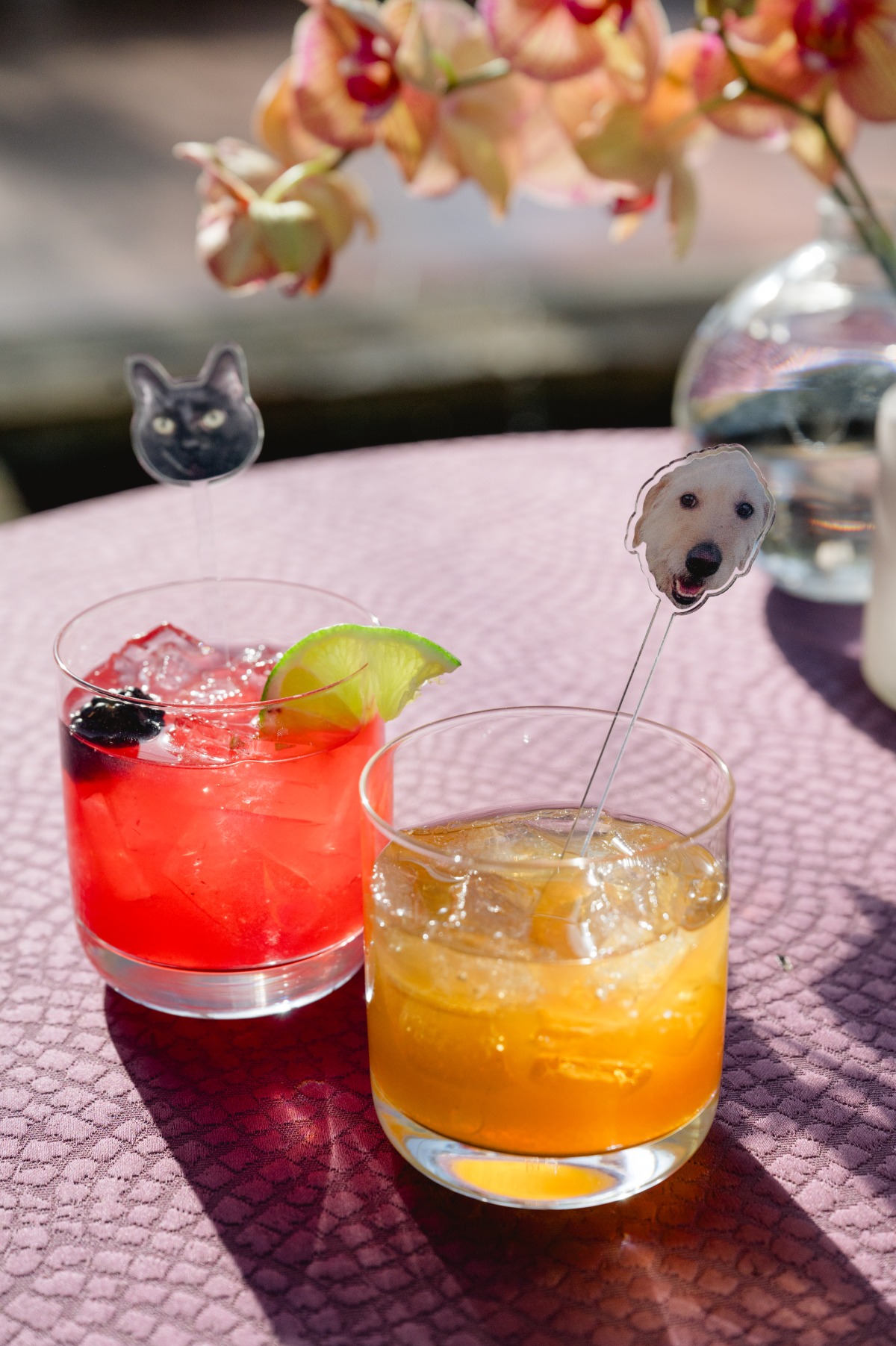 custom pet drink stirrers